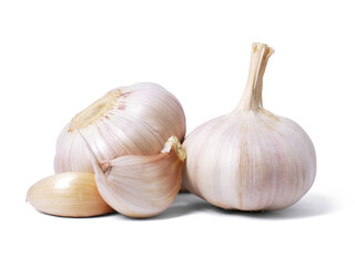 Garlic bulb isolated on white background. Selective Focus
