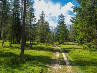 Hiking near Landro lake - Italy