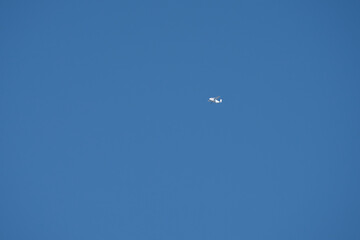 C-FARA Short SC-7 Skyvan 3-100 ascending in blue sky for a parachute jump exercise