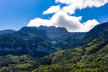Fototapeta premium The mountains of Canfranc are covered in lush green trees and the sky is clear and blue