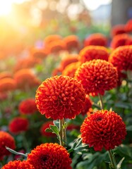 Vibrant orange flowers in garden