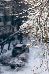 Beautiful view of city street with cottages and trees on winter day