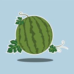 Flat cartoon vector illustration of watermelon fruit with leaves on blue background