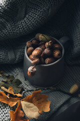 Acorns in a Cup on a Knitted Blanket with Oak Branch. Тop view of acorns in a cup on a knitted blanket with an oak branch in soft light, creating a cozy, autumnal, and atmospheric scene.