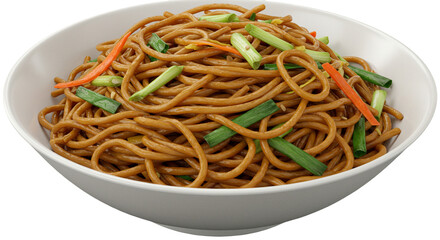 Bowl of Stir-Fried Noodles