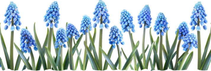 A vibrant cluster of blue grape hyacinth flowers blooming in a lush green garden, surrounded by soft sunlight filtering through nearby trees, creating a serene natural atmosphere