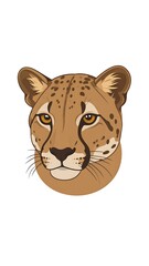 Cheetah head illustration