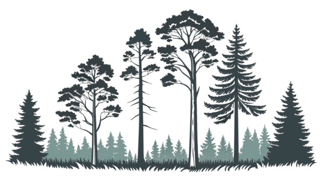 Pine tree silhouette flat, simple cartoon clipart, transparent background png.
