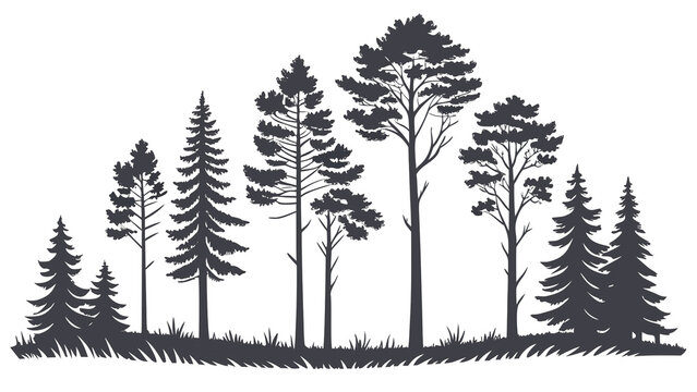 Flat pine tree silhouette, simple cartoon style, art isolated transparent bg png.
