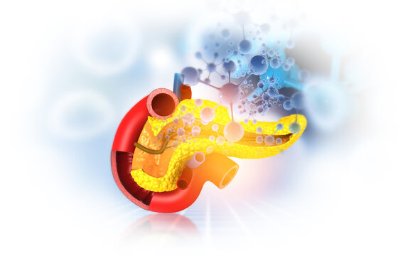 Pancreas and glucagon molecules. 3d illustration