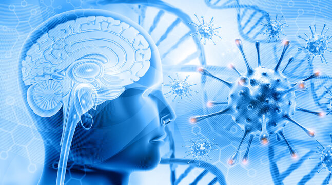 Human brain cross section anatomy with virus dna, scientific background. 3d illustration