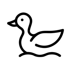 duck isolated on white