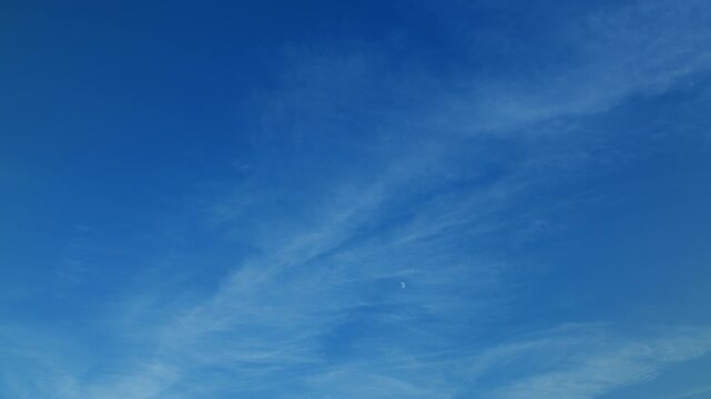Serene blue skies adorned with wispy clouds provide a calming aesthetic for all