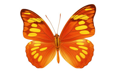 Isolated orange butterfly with yellow markings, monarch insect with vibrant wings spread out