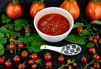 Frische Suppe aus Tomaten Solanum lycopersicum