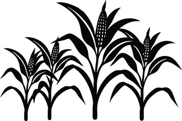  set of corn plants silhouette vector