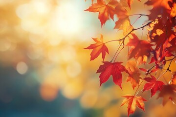 Autumn background autumn leaves leaf.
