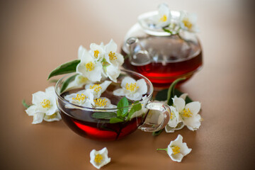 Glass teapot with jasmine and green tea isolated on a brown background