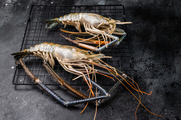 Fresh raw rosenbergii shrimp prawn, perfect for gourmet dishes and seafood lovers seeking premium quality.black background. top view
