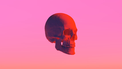 Male Human Skull Red Anatomy Cranium Bone Detailed Realistic Quarter Right View 3d illustration