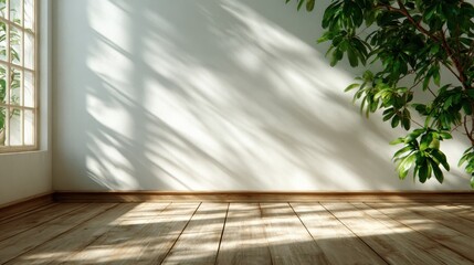 A bright room featuring a leafy plant, sunlight streaming through the window, and soft shadows on the wooden floor create a serene and inviting atmosphere.