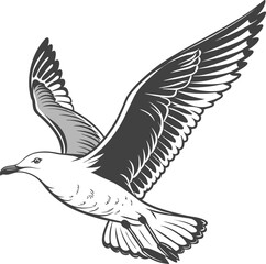 Vector silhouette illustration of black-headed gulls and a white dove with spread wings in flight