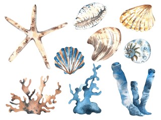 A set of watercolor marine-themed objects. Corals, shells, seaweed, and a starfish. Hand-painted on a white background in shades of blue. Isolated.