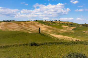 Obraz premium rural scenary in tuscany with blue sky 