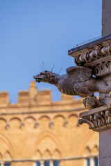 view of the sculpture of griffin in Siena