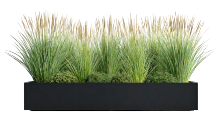 Planted box, grasses, and reeds