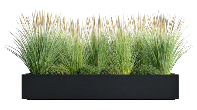 Planted box, grasses, and reeds