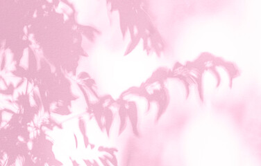 Leaf shadow and light on wall pink background. Nature tropical leaves shadows tree branch and plant shade with sunlight sunshine on wall for  wallpaper, shadow overlay effect foliage mockup
