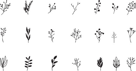 Vector set: hand-drawn botanical elements, leaves, branches, and berries for design eps silhouette