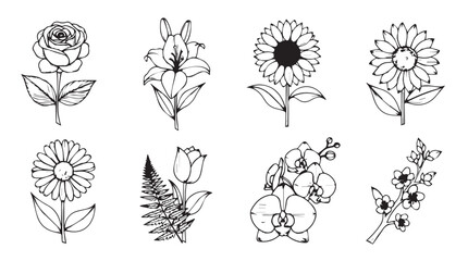 Collection of eight delicate hand drawn floral illustrations in a distinct silhouette style © MstMili