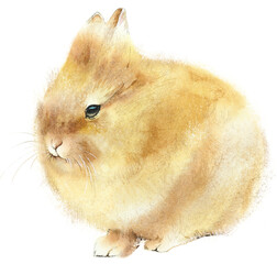 Decorative rabbit. Fluffy bunny. Watercolor hand drawn illustration