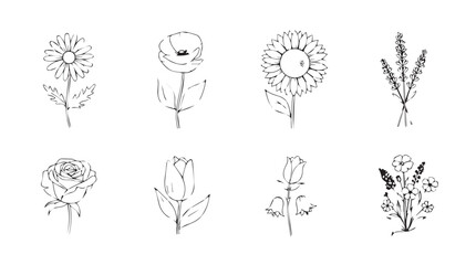 Collection of delicate line art floral illustrations in a minimalist silhouette style
