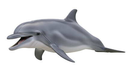 Isolated Gray Dolphin Opens Mouth and Shows Teeth for Ocean Animal Theme on Plain Setting