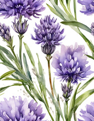 Fototapeta premium Purple Cornflower in Watercolor Style