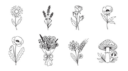 Collection of hand drawn botanical illustrations featuring flowers and mushroom silhouette