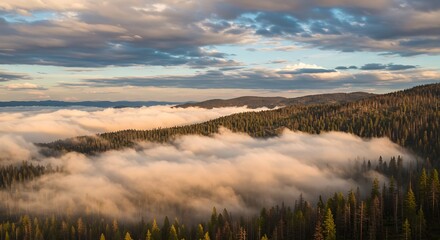 Obraz premium Misty mountain sunrise landscape