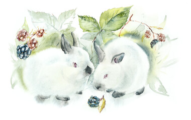 Two decorative rabbits and blackberry bush. Color point bunny. Watercolor hand drawn illustration