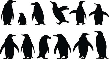 Penguin silhouette vector collection, black penguin icons set, walking and standing penguins, wildlife bird graphic, flightless birds, animal shape illustration isolated © Shahariar's World