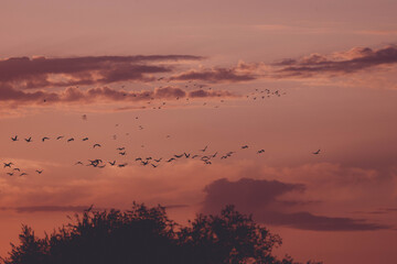 Zachód słońca © Edyta