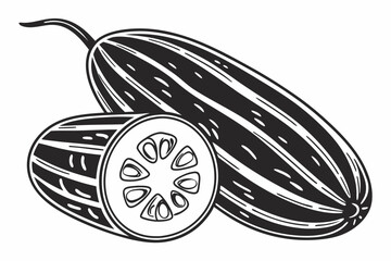 Black and White Illustration of Ridge Gourd.