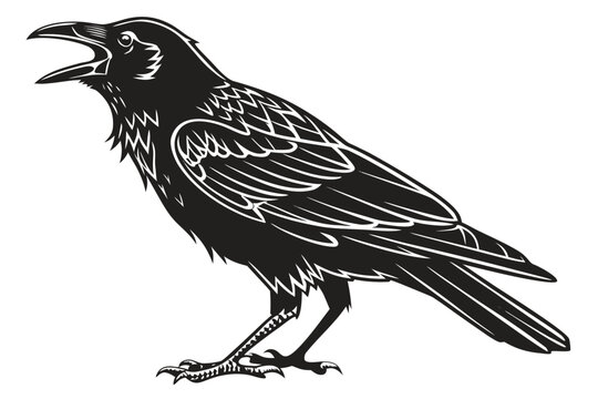 Black Raven Silhouette with Open Beak.