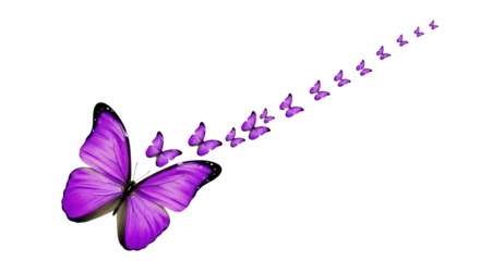 Isolated purple butterflies in flight, vibrant, colorful and inspirational, metamorphosis theme