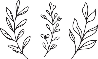 Vector leaves illustration: botanical line art, floral design elements eps silhouette