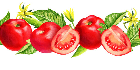 watercolor fresh red ripe tomato, slice, yellow flowers, green leaves, seamless border, hand drawn illustration of agriculture theme, food sketch of red fruits, vegetables, healthy lifestyle