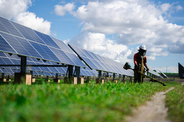 Ground-mounted solar panels aligned in rows with durable steel supports, designed for efficient renewable energy generation in outdoor farms, fields, and industrial installations