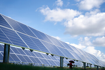 Large ground-mounted solar panel rows with angled design, providing durable renewable energy generation for open-field installations in farms, commercial, and industrial spaces